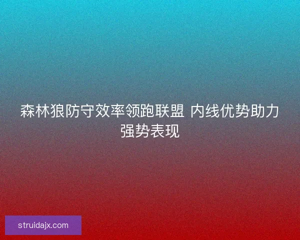 森林狼防守效率领跑联盟 内线优势助力强势表现