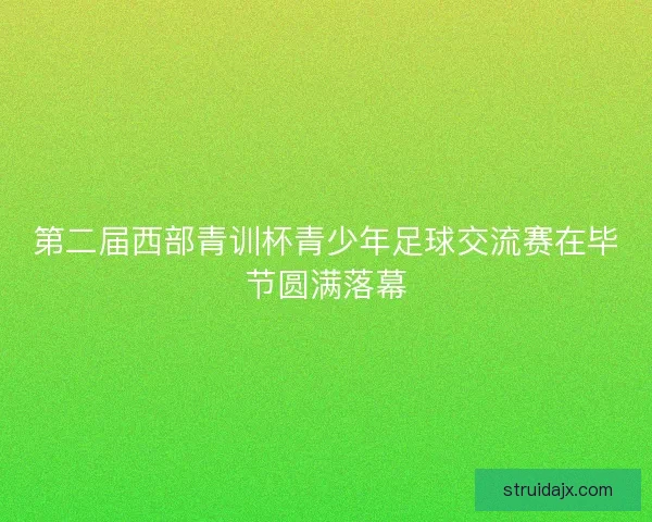 第二届西部青训杯青少年足球交流赛在毕节圆满落幕
